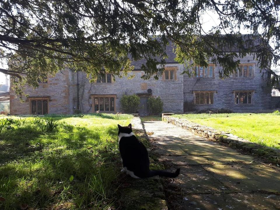 The Manor House, Curry Mallet トーントン エクステリア 写真